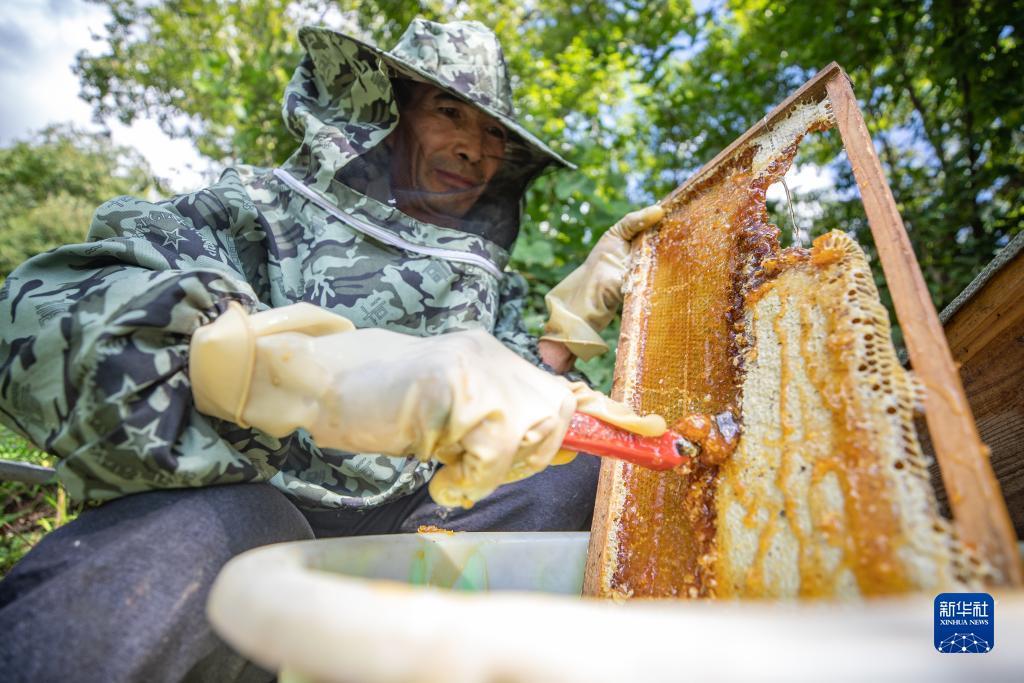 怎么去银钻娱乐